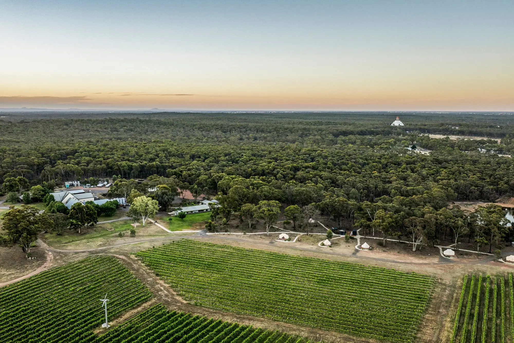 The estate from the air, vineyard in front and bushland behind